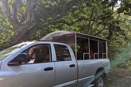 Off Road Jungle Safari Grand Tour Adventure 