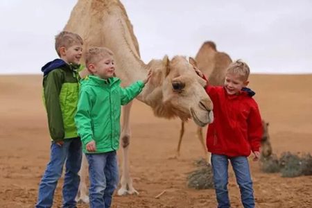 Camel Trekking and Morning Safari with Sand Boarding