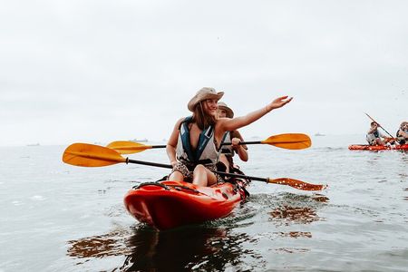 Mola Mola Kayaking Experience with a Licensed Guide