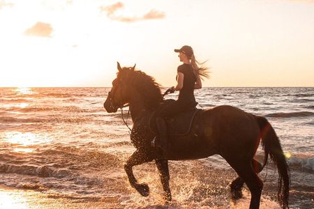 Gili Trawangan Beach Horseback Riding with Pickup Hotel