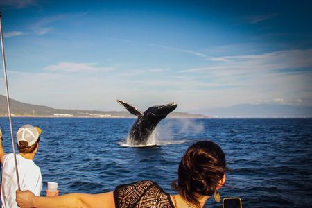 Ultimate Whale Watching Experience All-Inclusive
