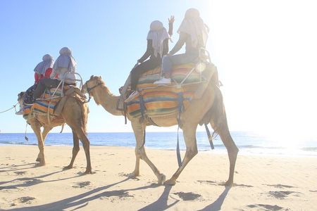 The Ultimate Camel Safari Experience in Los Cabos