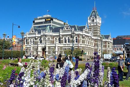Experience Dunedin and Otago Peninsula Tours For Up To 4 people