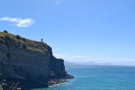Dunedin and Otago Peninsula Private Tours Up to 4 people
