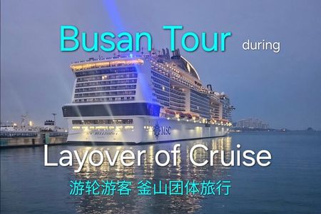 Busan Group Tour for Cruise ship passengers (Max 15 Guests) 