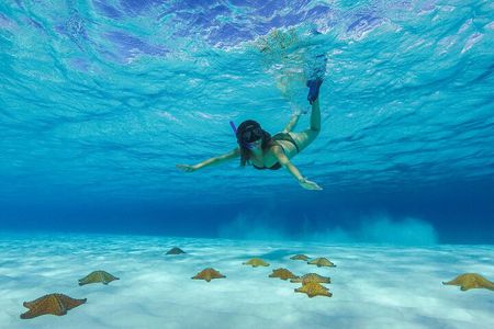 Cozumel Catamaran Snorkel Tour: El Cielo & Palancar with lunch