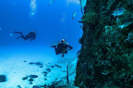 Diving Certification Playa del Carmen Dive Machine