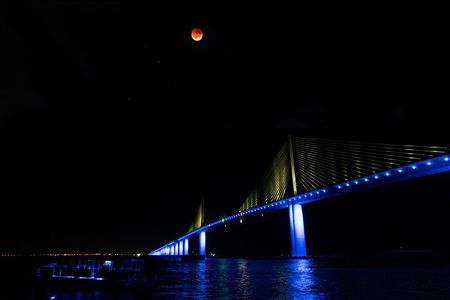 Skyway Light Show Tour Under the Stars
