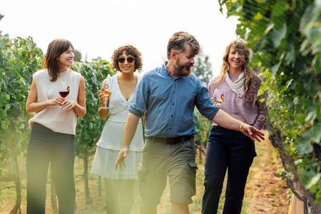 Afternoon Tour in Columbia Gorge Waterfall with Free Wine Tasting