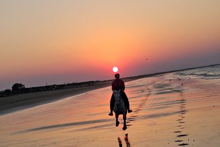 Private Horseback Riding in Muscat Beach
