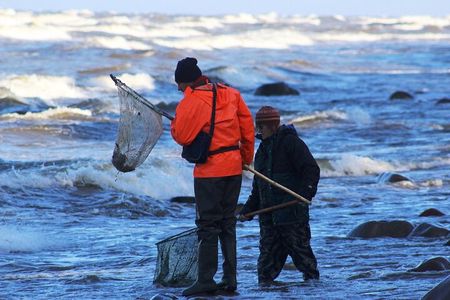 Private Tour: Amber Catching in Curionian Spit From Klaipeda