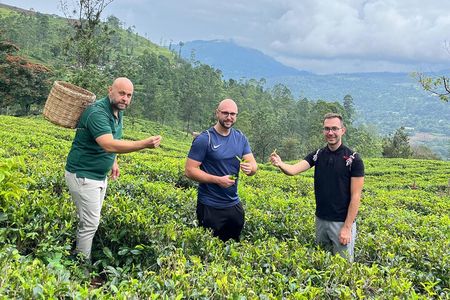 Nuwara Eliya Tea factory and waterfall tour