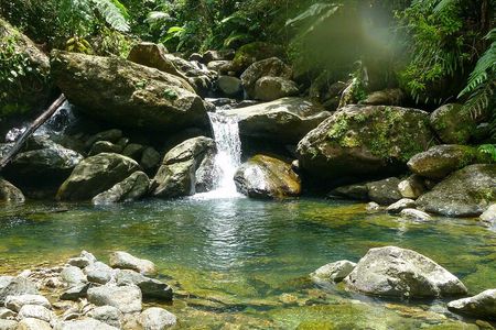 Yunque & Piñones Tour Hike Eat & Adventure with a Local; San Juan