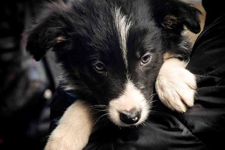 Dublin to Glendalough Wicklow and Kilkenny Tour