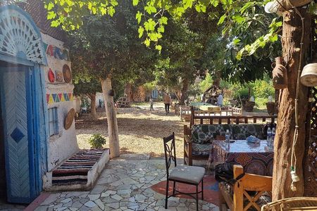 Soulful Egyptian Farmer Experience in Luxor