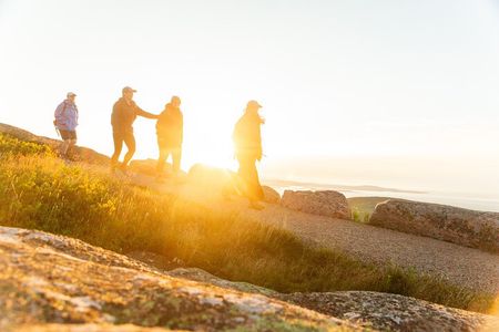 Acadia Full Day Small Group Tour
