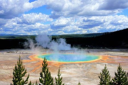 Yellowstone Full Day Private Tour