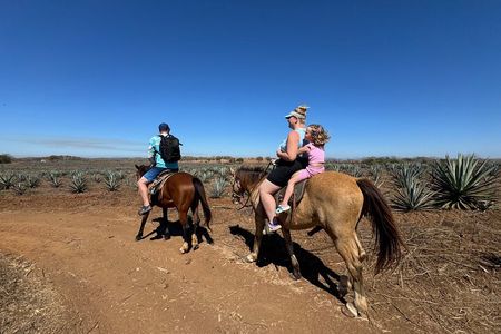 Jungle and Beach Horseback ride Tour in Pacific Coast