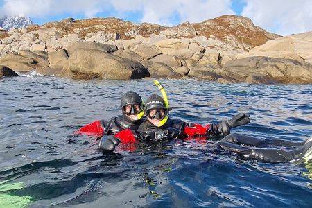 Lofoten Unique Snorkeling Experience in Dry Suit