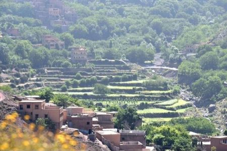 Atlas Tour: Imlil-Meals-Chameau Waterfall from Marrakech