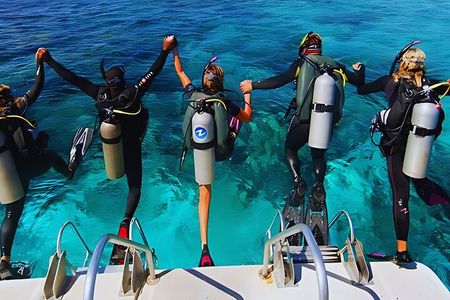 Dolphin House with Intro Dive and Snorkeling from Hurghada