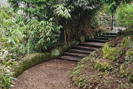A Unique Belfast Walking Experience