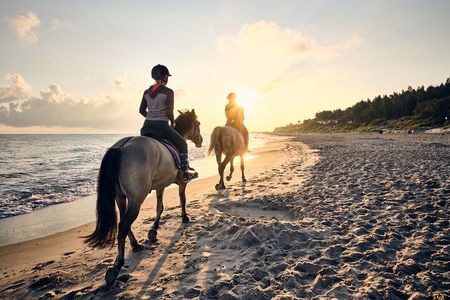 Pura Vida in Papagayo - WRCT Adventures Private Horseback Ride 