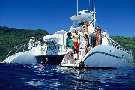 Premium Snorkeling Cruise and Dolphin Watch With Buffet & Drinks