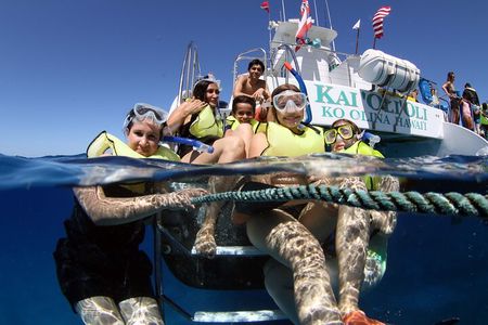 Oahu: Snorkeling Cruise and Dolphin Watch With Hawaiian Buffet