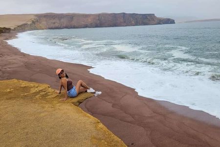 From Ica to Huacachina: Ballestas Islands and National Reserve