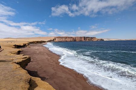 From Ica to Huacachina: Ballestas Islands and National Reserve