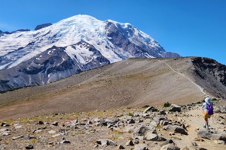 Mount Rainier Day Hike