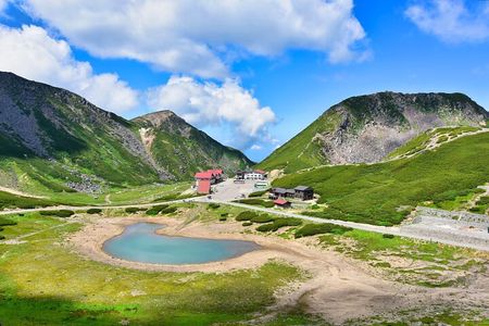 From Takayama Mt. Norikura Alpine Flowers and Panoramic Peaks