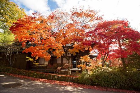 Half Day Walking Tour Takayama’s Hidden Gems and Temple Walk