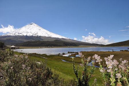 Andean Adventure : Riding and Cotopaxi Refuge