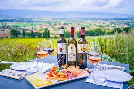 Farm to Table Light Lunch and Wine Tasting in Assisi Countryside