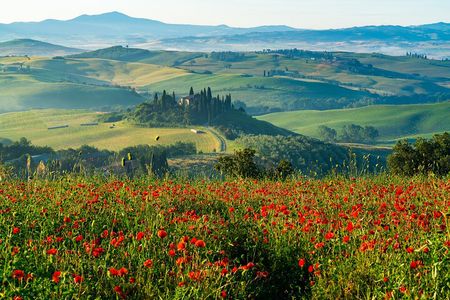 Rome: Tuscany & Montepulciano Day Trip with Lunch & Wine Tasting 