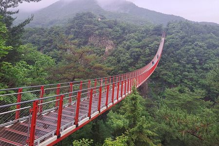Explore DMZ from Seoul with Gondola and Suspension Bridge Option
