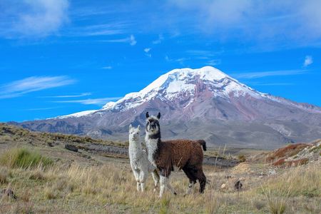 Quito to Cuenca 4 or 5-Day Tour with Cotopaxi, Quilotoa, Baños and Chimborazo