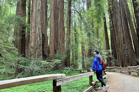 Half-Day Muir Woods & Sausalito Tour with Entry Ticket Included