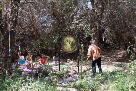 Gong Bath in the Magic Forest in San Pedro de Atacama