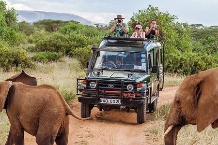 The Top Rated 6-Day Serengeti Budget Camping Safari in Tanzania