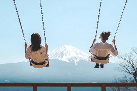 Tokyo Day Trip Mount Fuji Scenic Cable Car Experience