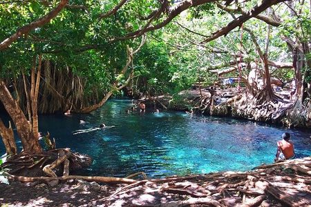 Moshi Tours: The Best Chemka Hot Spring Half Day Trip From Moshi