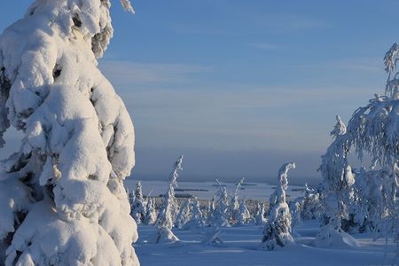 Riisitunturi National Park – Breathtaking Day Hike from Rovaniemi