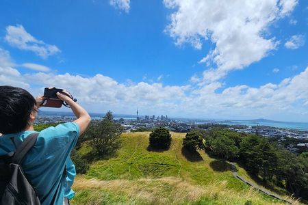 Auckland City Small Group Private Tour