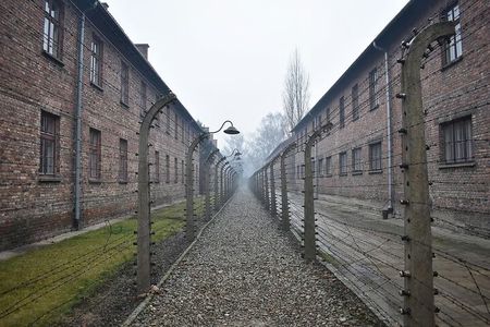 Krakow Auschwitz Birkenau Day Trip with Tour Leader