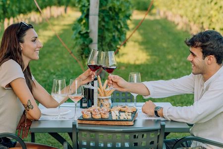 Wine and Food Tasting in the Vineyards in Lazise