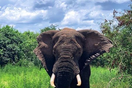 Kigali to Kayonza Akagera National Park 4WD Tour