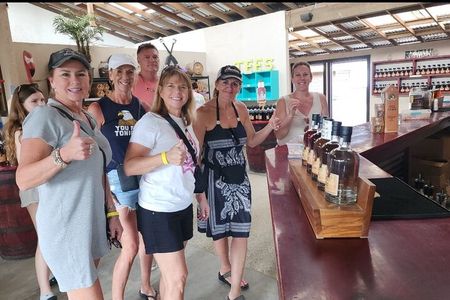 Guided Tour And Zipline In The Monkey And Sloth Jungle